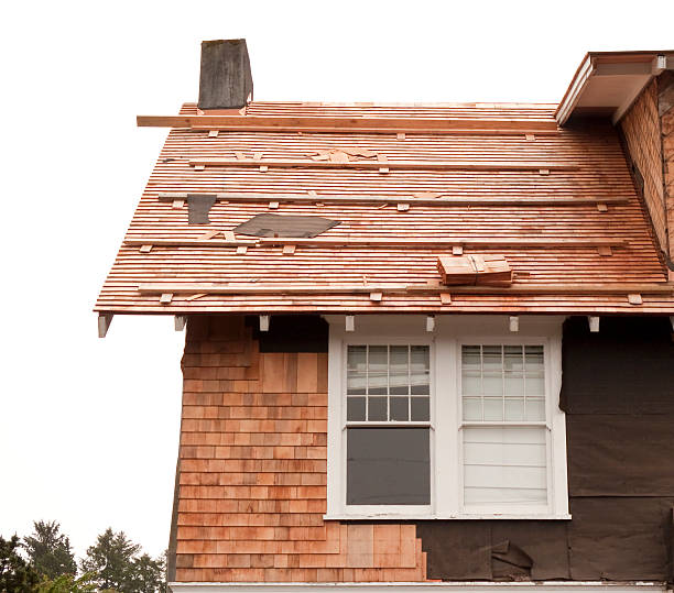 Affordable Siding Repair and Maintenance Services in Greenback, TN